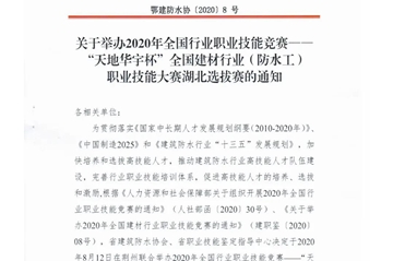 天地梦之城杯